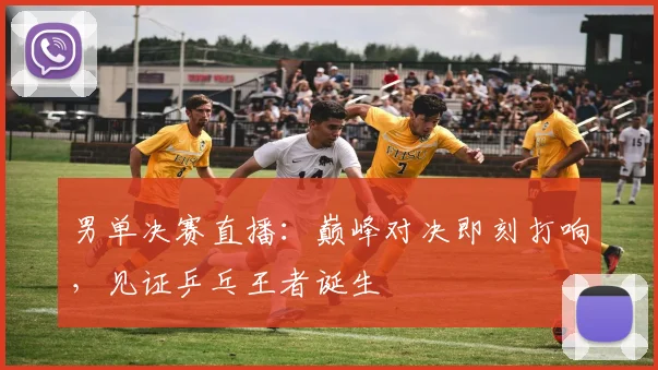 男单决赛直播：巅峰对决即刻打响，见证乒乓王者诞生