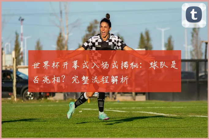 世界杯开幕式入场式揭秘：球队是否亮相？完整流程解析