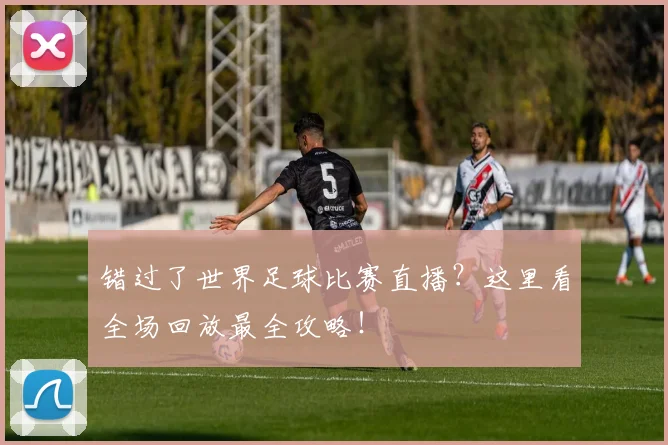 错过了世界足球比赛直播？这里看全场回放最全攻略！